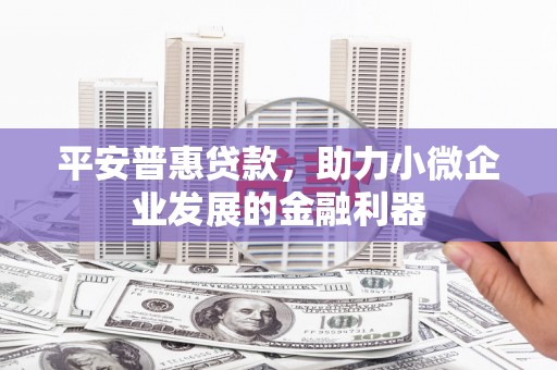 布尔津平安普惠贷款，助力小微企业发展的金融利器