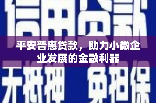 布尔津平安普惠贷款，助力小微企业发展的金融利器
