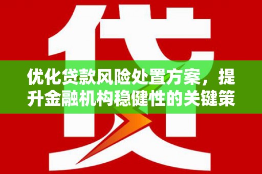 布尔津优化贷款风险处置方案，提升金融机构稳健性的关键策略