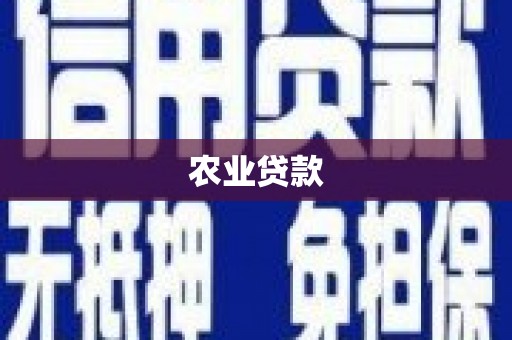 布尔津农业贷款