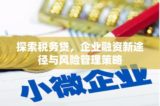 布尔津探索税务贷，企业融资新途径与风险管理策略