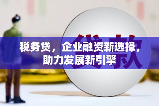 布尔津税务贷，企业融资新选择，助力发展新引擎