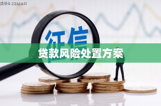 布尔津贷款风险处置方案