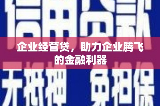 布尔津企业经营贷，助力企业腾飞的金融利器
