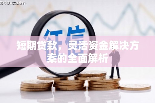 布尔津短期贷款，灵活资金解决方案的全面解析