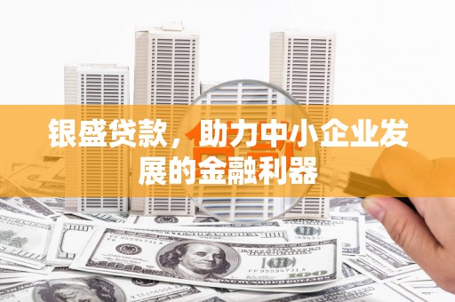 布尔津银盛贷款，助力中小企业发展的金融利器