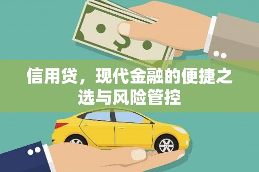 布尔津信用贷，现代金融的便捷之选与风险管控