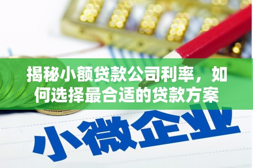 布尔津揭秘小额贷款公司利率，如何选择最合适的贷款方案
