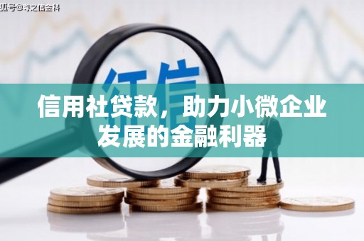 布尔津信用社贷款，助力小微企业发展的金融利器