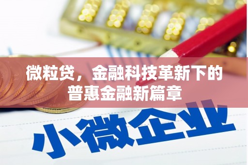 布尔津微粒贷，金融科技革新下的普惠金融新篇章