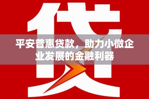 布尔津平安普惠贷款，助力小微企业发展的金融利器