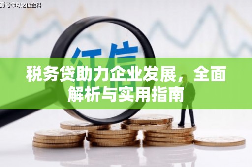 布尔津税务贷助力企业发展，全面解析与实用指南