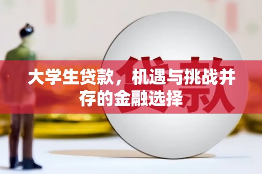 布尔津大学生贷款，机遇与挑战并存的金融选择