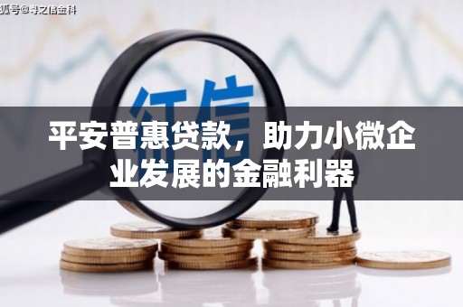 布尔津平安普惠贷款，助力小微企业发展的金融利器